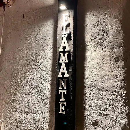 Apartment El Amante